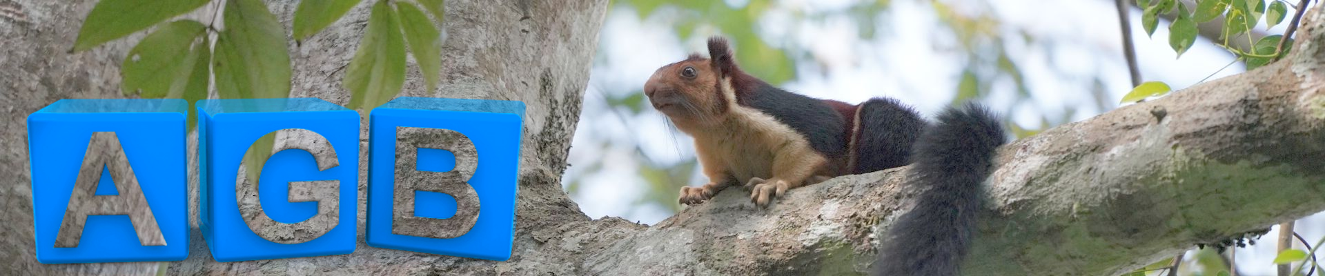 Allgemeine Gesch&auml;ftsbedingungen von HG Tours Pvt. Ltd.